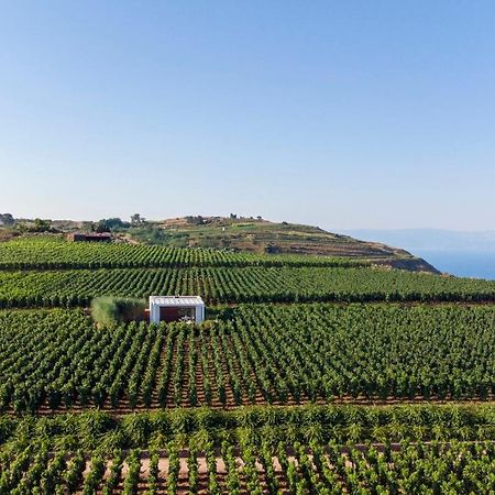 Tenuta Di Castellaro Winery & Resort 利帕里 外观 照片
