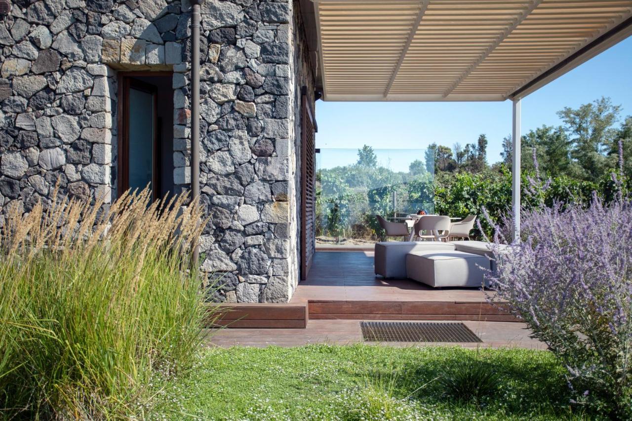 Tenuta Di Castellaro Winery & Resort 利帕里 外观 照片
