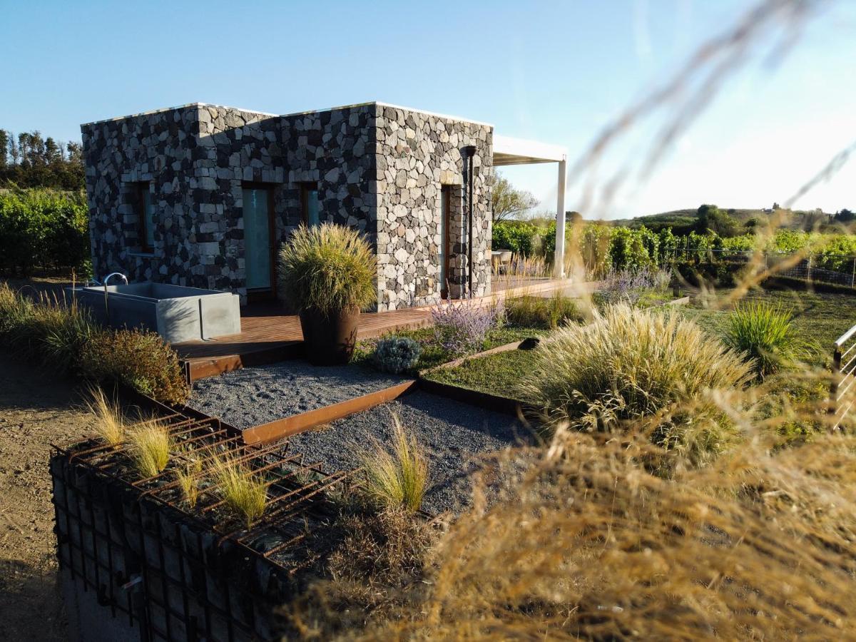 Tenuta Di Castellaro Winery & Resort 利帕里 外观 照片