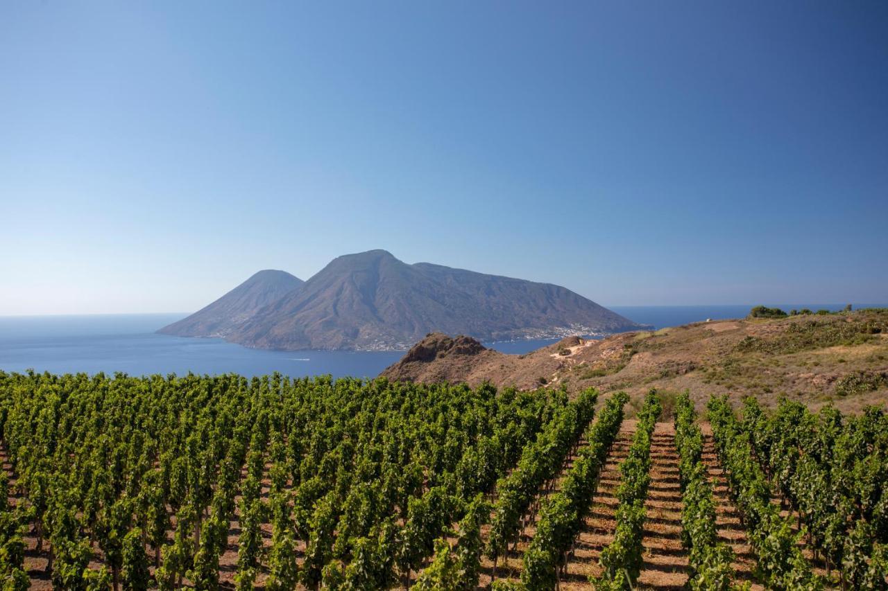 Tenuta Di Castellaro Winery & Resort 利帕里 外观 照片