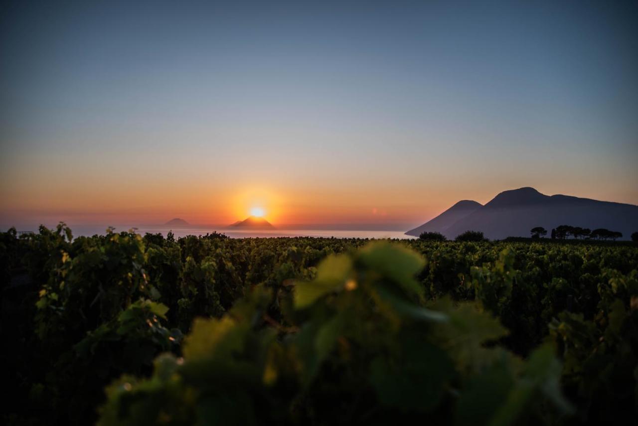 Tenuta Di Castellaro Winery & Resort 利帕里 外观 照片