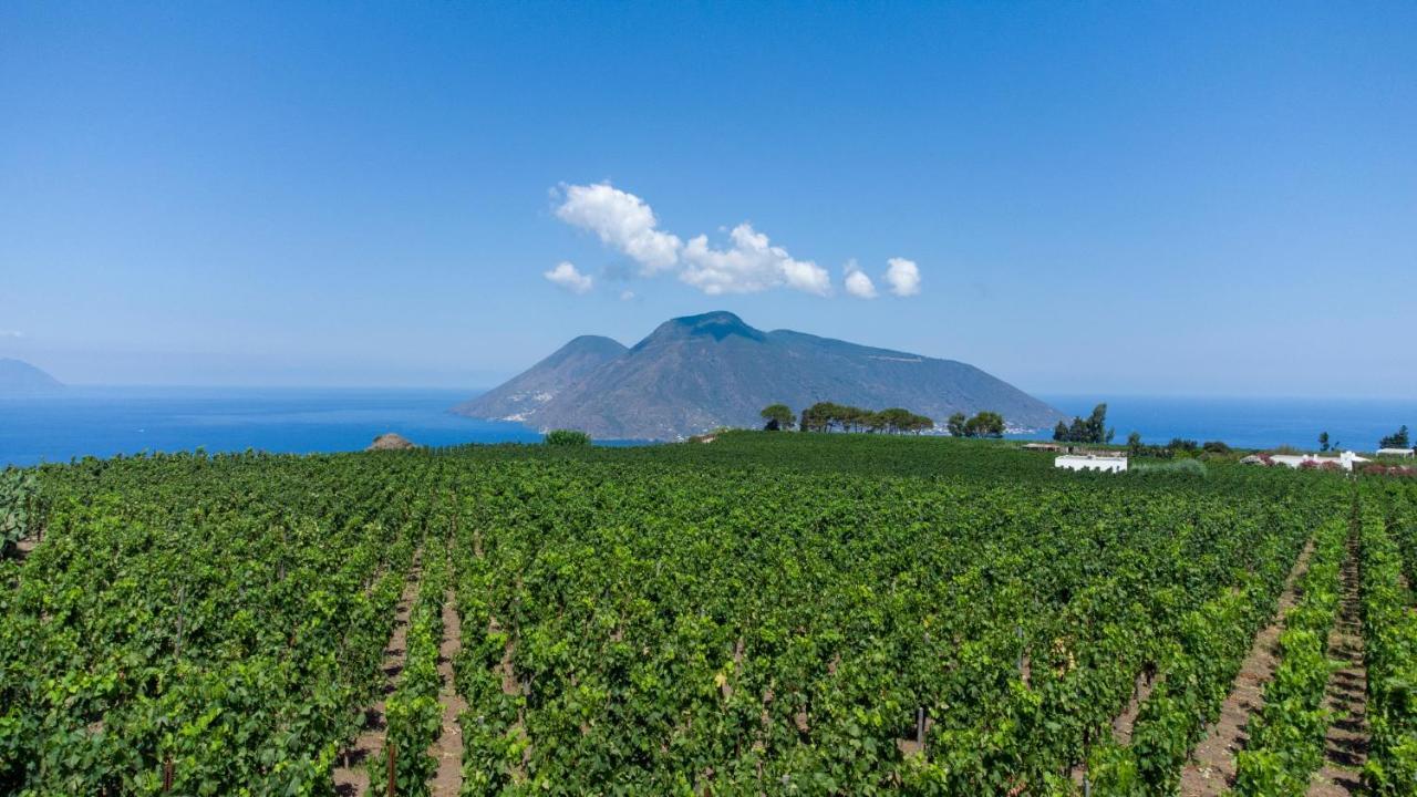 Tenuta Di Castellaro Winery & Resort 利帕里 外观 照片