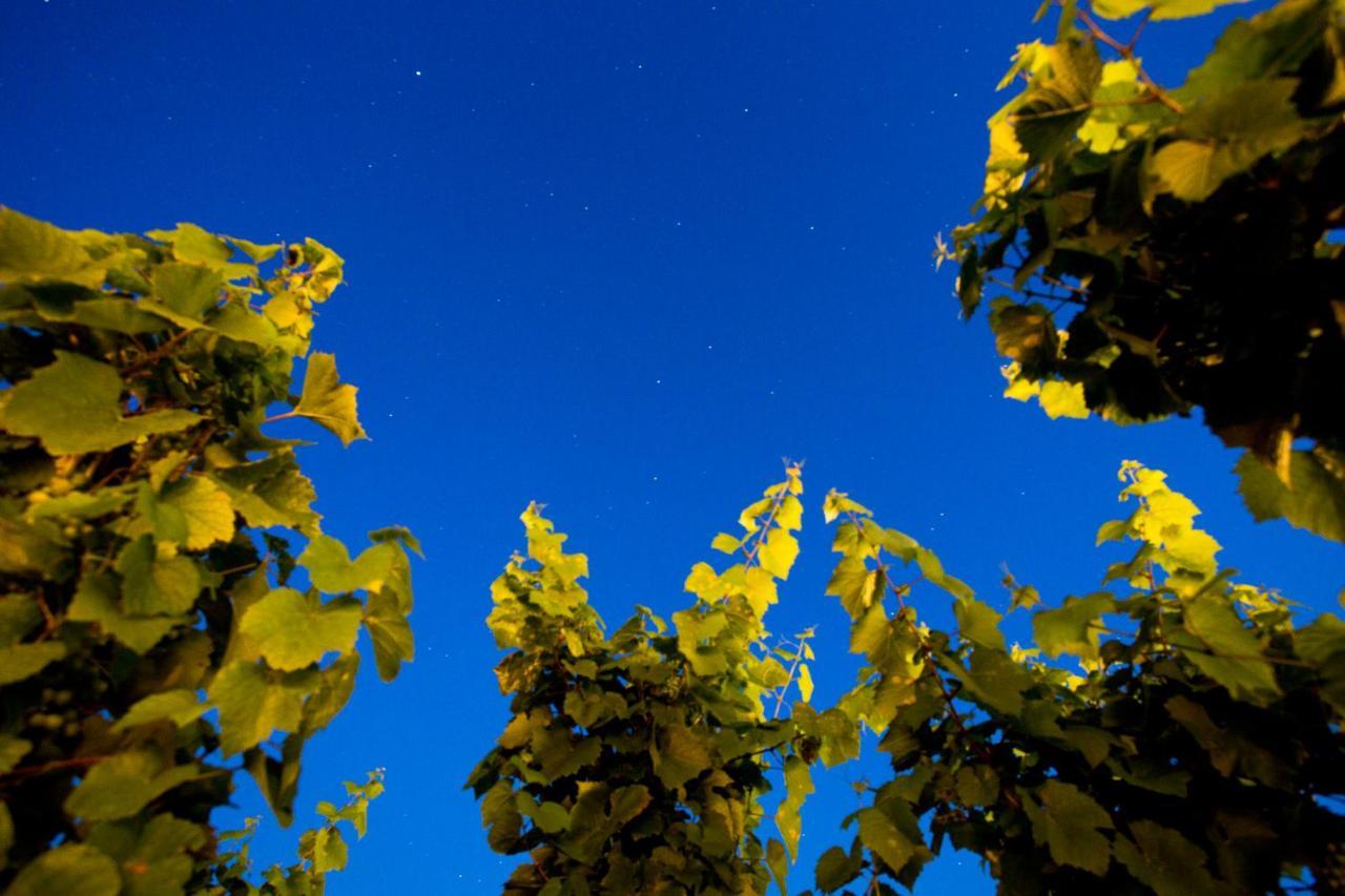 Tenuta Di Castellaro Winery & Resort 利帕里 外观 照片