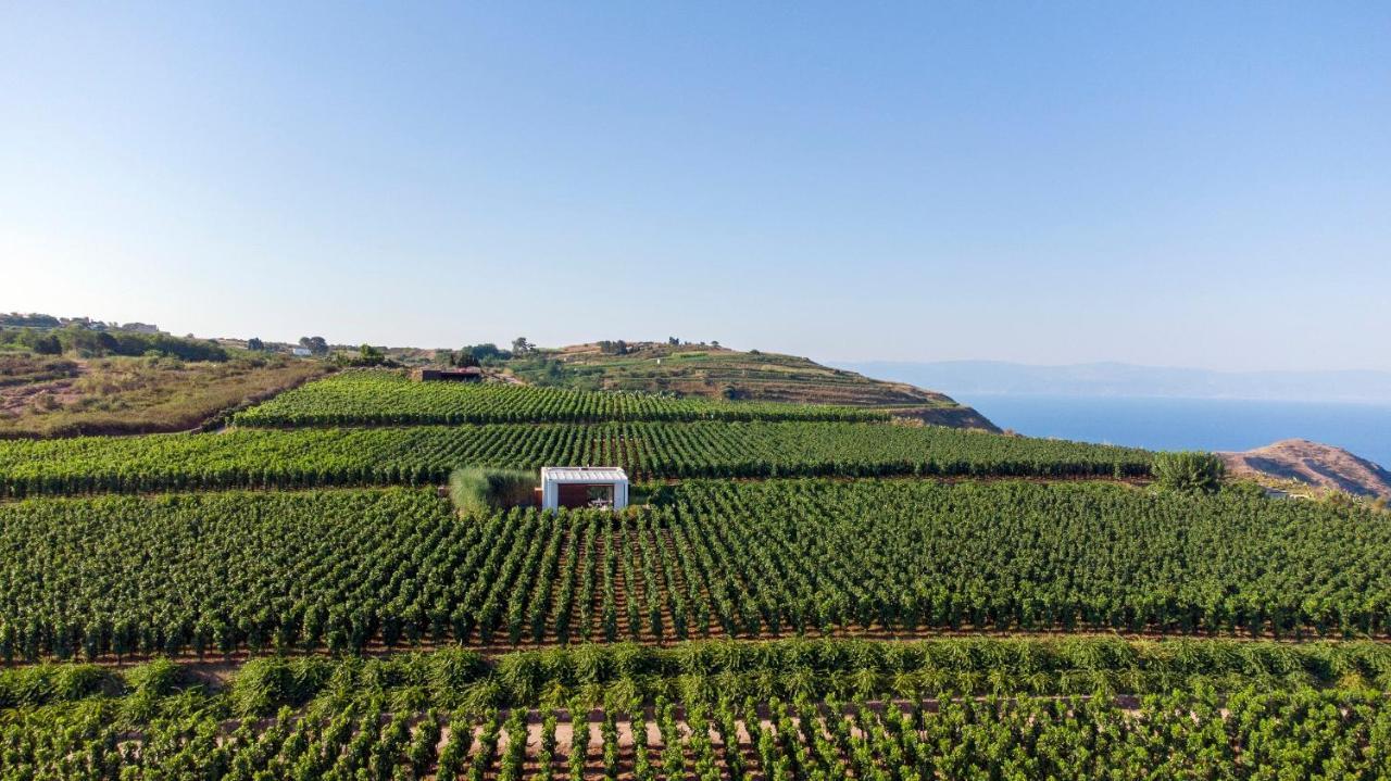 Tenuta Di Castellaro Winery & Resort 利帕里 外观 照片