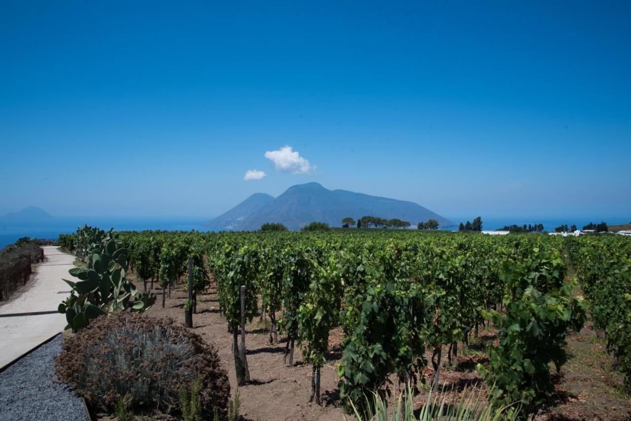 Tenuta Di Castellaro Winery & Resort 利帕里 外观 照片